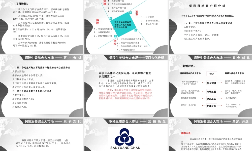 XXXX年铜陵生姜综合大市场项目操盘书