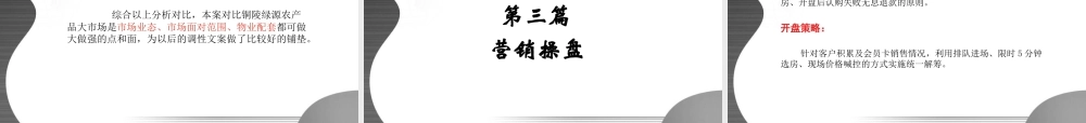XXXX年铜陵生姜综合大市场项目操盘书