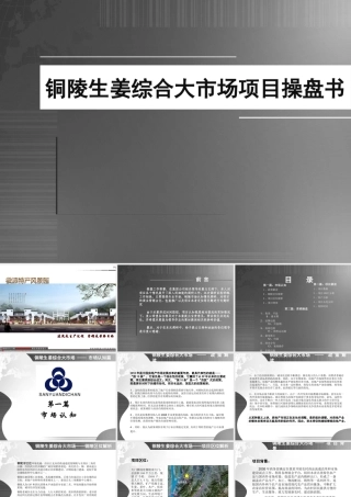 XXXX年铜陵生姜综合大市场项目操盘书