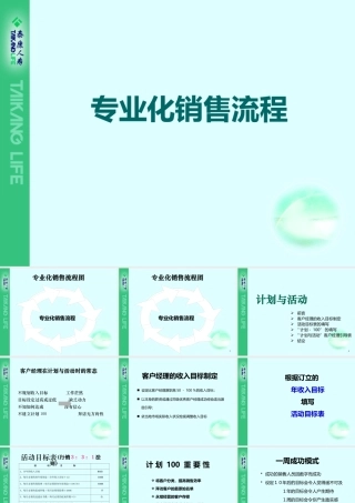 专业化销售流程2a(接触说明促成)