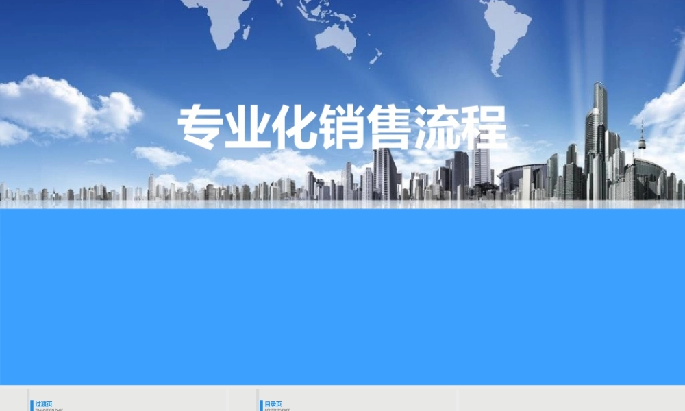 专业化销售流程2017