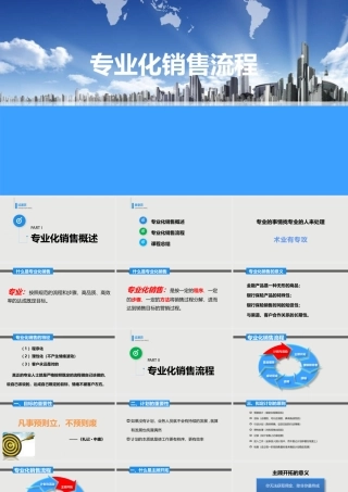 专业化销售流程2017