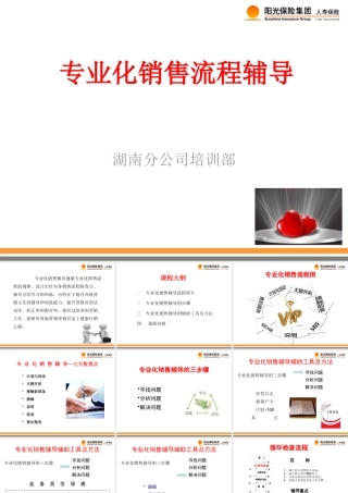 专业化销售流程辅导1