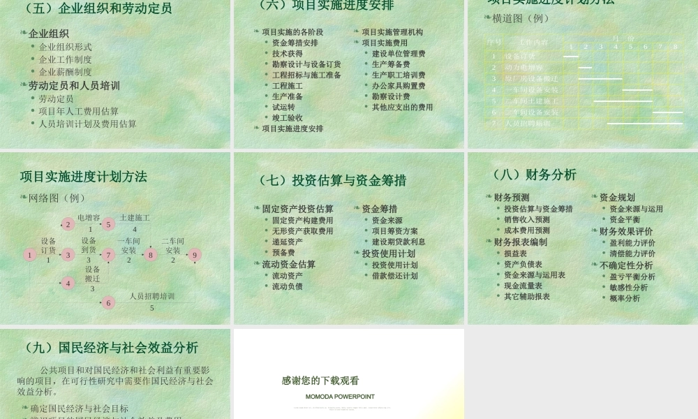 《投资项目可行性研究》