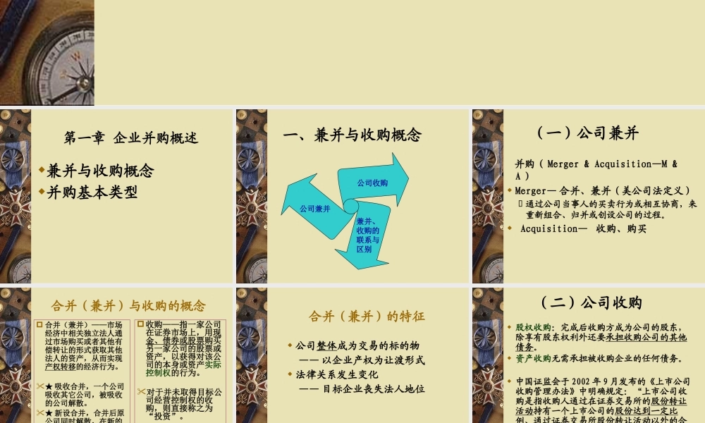 《投资学》第六章企业并购投资(1)