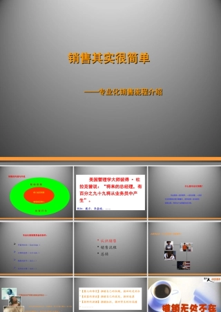 专业化销售流程介绍