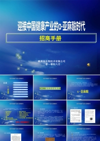 XXXX年维美佳生物技术有限公司招商手册
