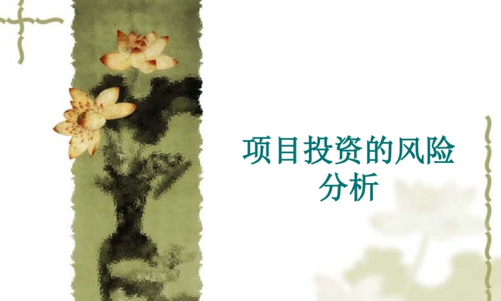 《投资学》第七章 项目投资的风险分析