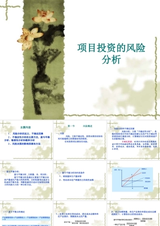 《投资学》第七章 项目投资的风险分析