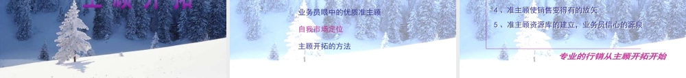 专业化销售流程课件
