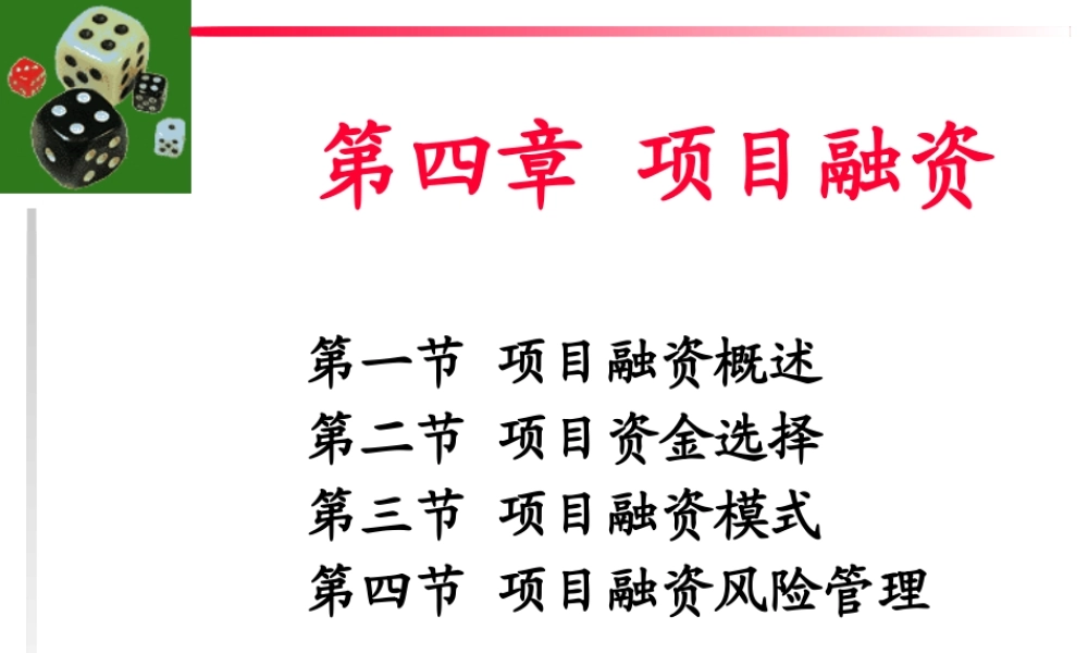《投资学》第四章项目融资(1)