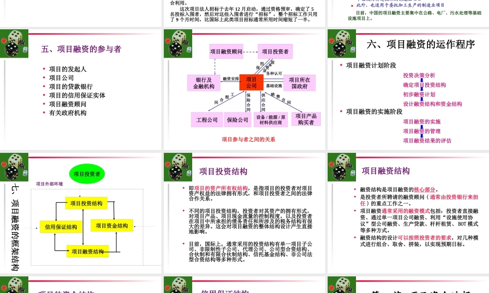 《投资学》第四章项目融资(1)
