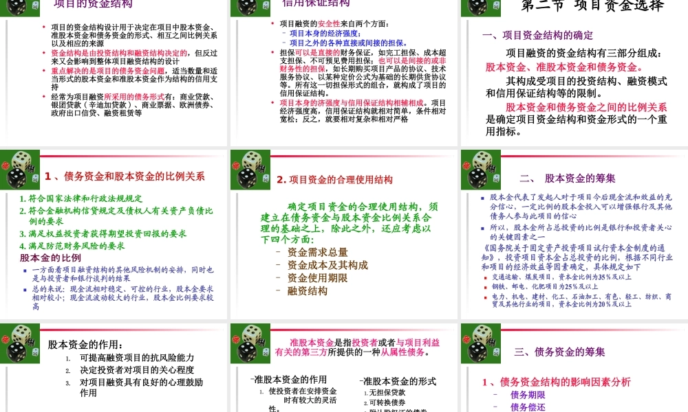 《投资学》第四章项目融资(1)