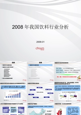 XXXX年我国饮料行业分析究-加精版