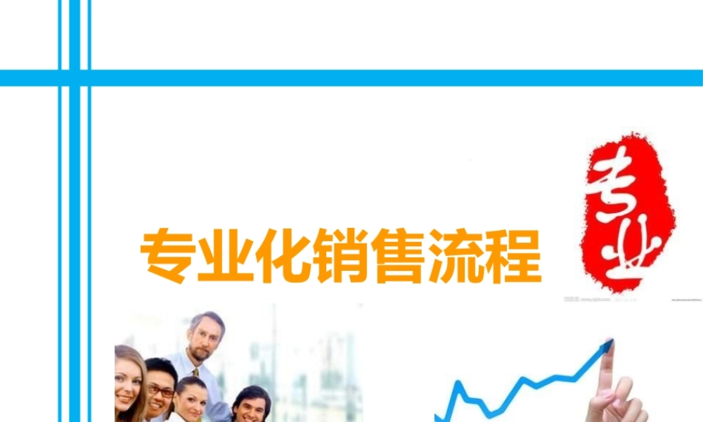 专业化销售流程意义概述细节
