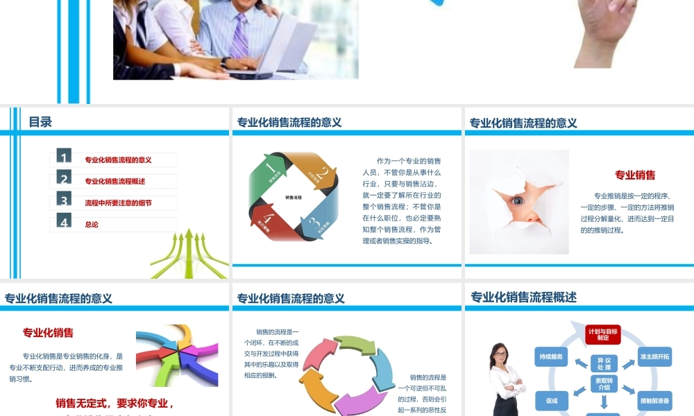 专业化销售流程意义概述细节