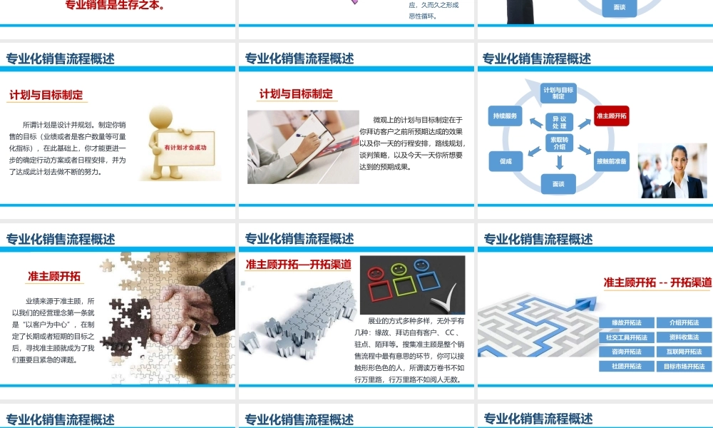专业化销售流程意义概述细节