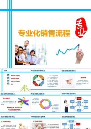 专业化销售流程意义概述细节