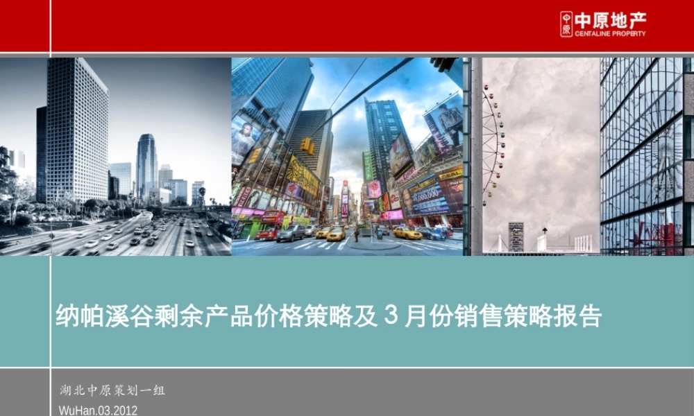 XXXX年武汉纳帕溪谷剩余产品价格策略