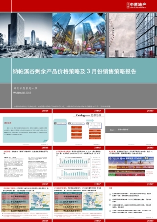 XXXX年武汉纳帕溪谷剩余产品价格策略