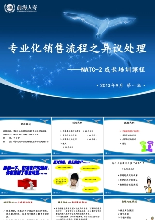 专业化销售流程之异议处理(初稿)