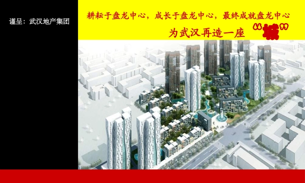 XXXX年武汉盘龙城2400亩项目整体定位和发展战略