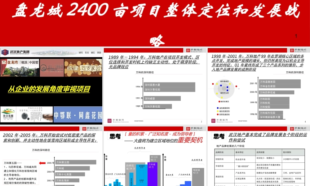 XXXX年武汉盘龙城2400亩项目整体定位和发展战略