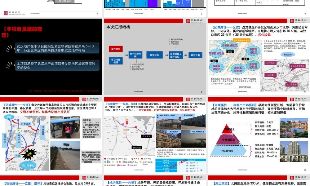 XXXX年武汉盘龙城2400亩项目整体定位和发展战略