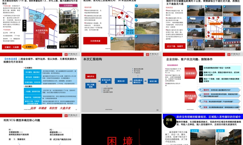 XXXX年武汉盘龙城2400亩项目整体定位和发展战略
