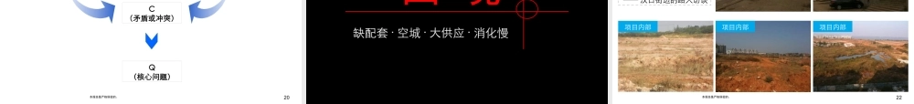 XXXX年武汉盘龙城2400亩项目整体定位和发展战略