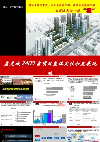 XXXX年武汉盘龙城2400亩项目整体定位和发展战略