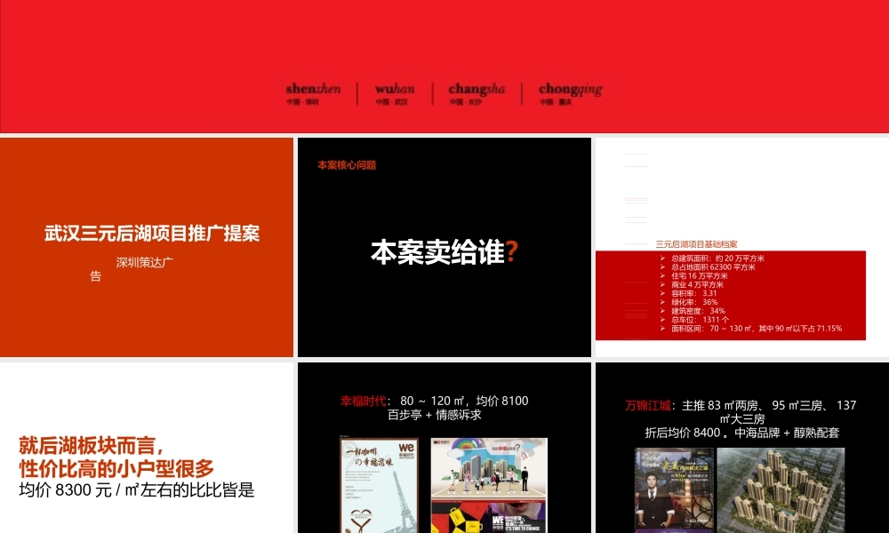 XXXX年武汉三元后湖商业街项目推广提案