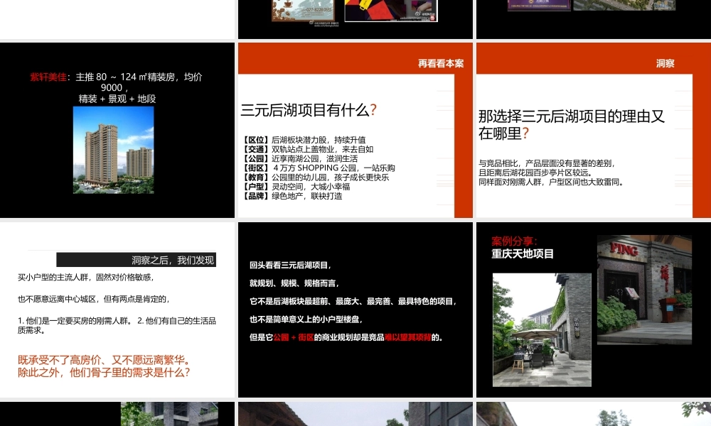 XXXX年武汉三元后湖商业街项目推广提案