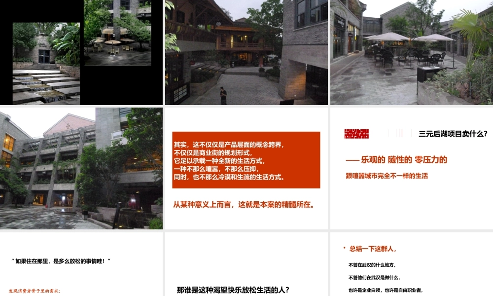 XXXX年武汉三元后湖商业街项目推广提案