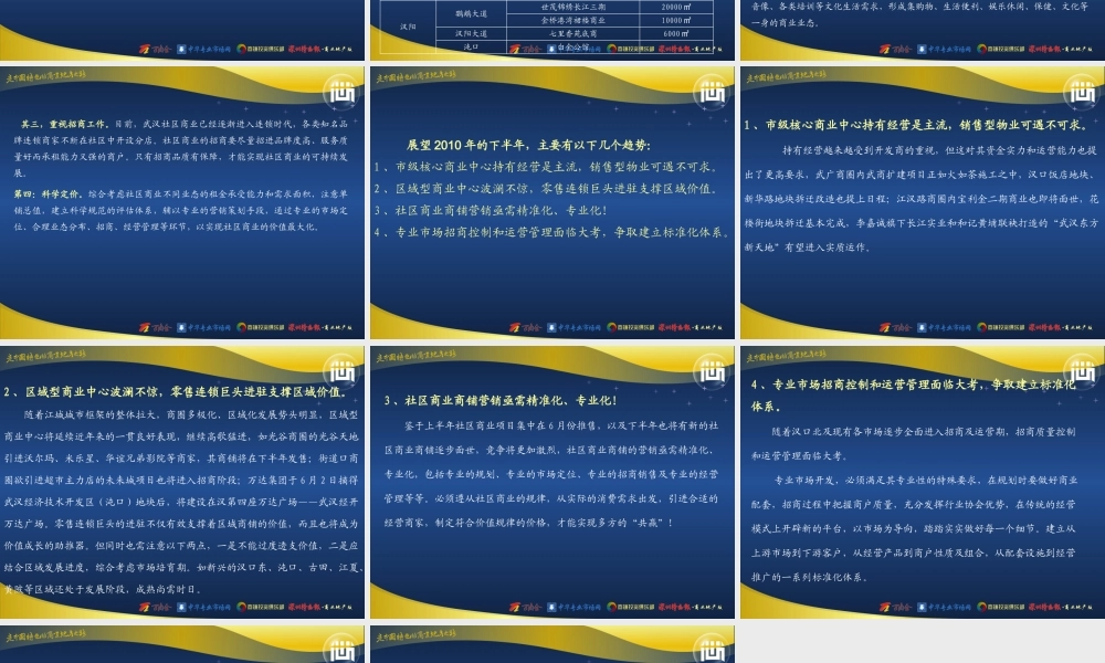 XXXX年武汉商业年中报告