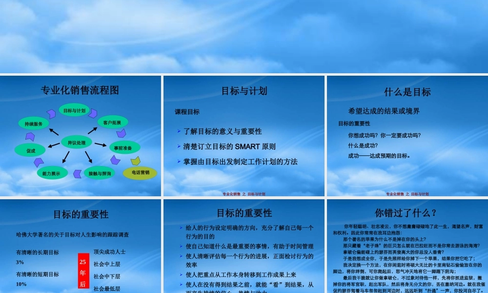 专业化销售授课(目标)