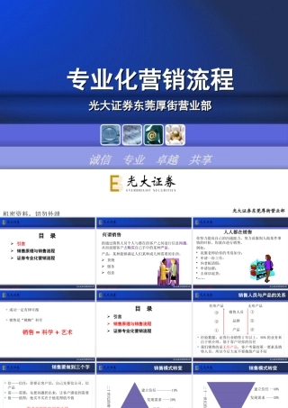 专业化营销流程