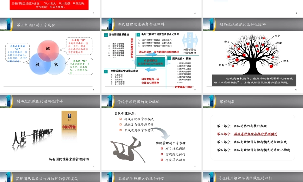《团队高效协作与执行管理模式》