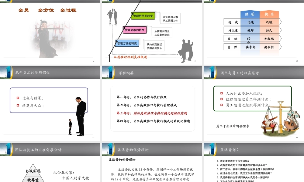 《团队高效协作与执行管理模式》