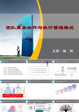 《团队高效协作与执行管理模式》