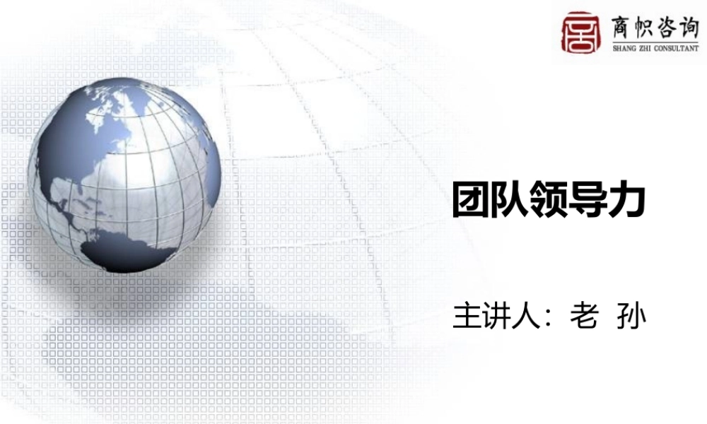 《团队领导力》特训