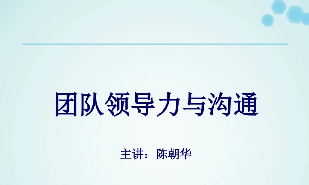 《团队领导力与沟通》