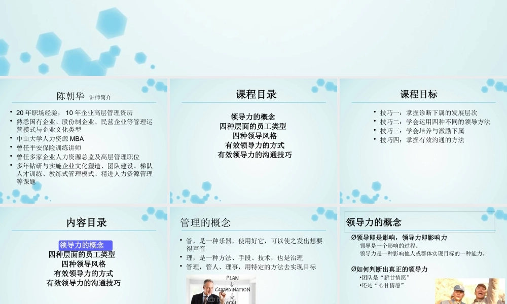 《团队领导力与沟通》