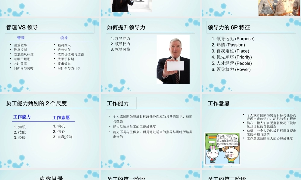 《团队领导力与沟通》