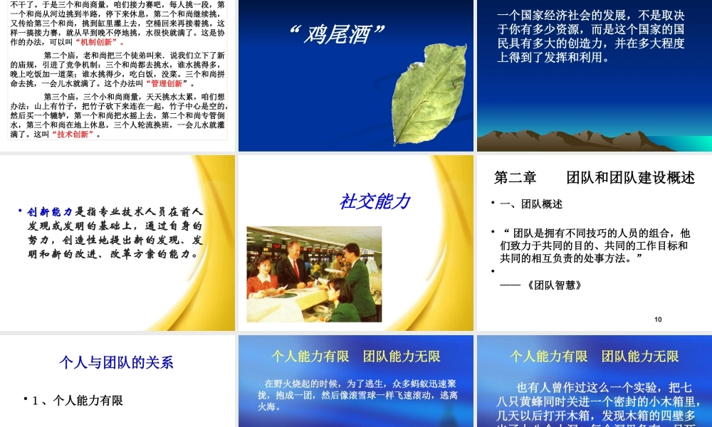 专业技术人员团队合作能力