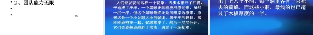 专业技术人员团队合作能力