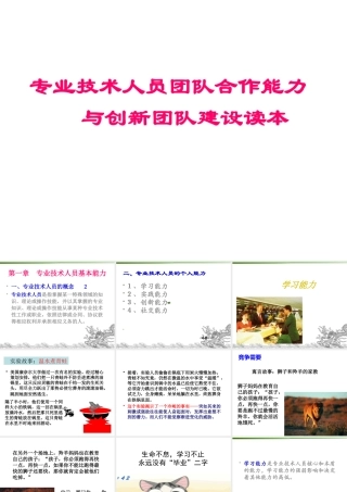 专业技术人员团队合作能力