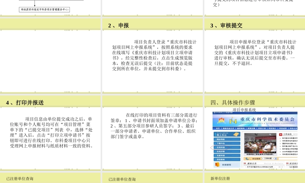 XXXX年项目申报流程