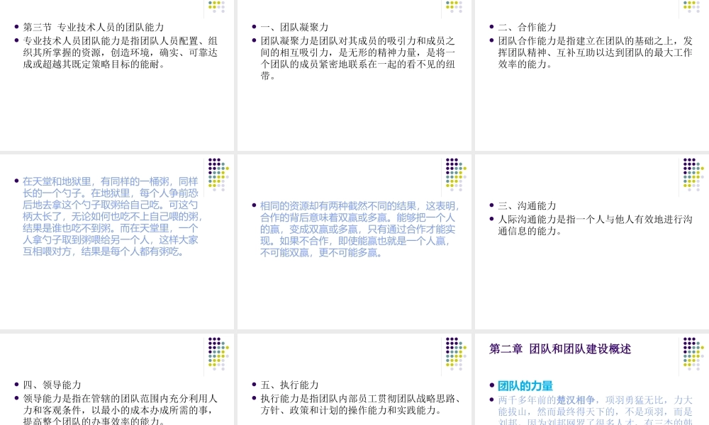 专业技术人员团队合作能力与创新团队建设