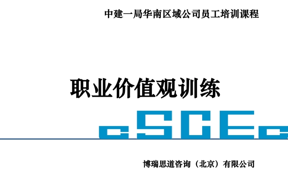 专业讲师-职业价值观训练
